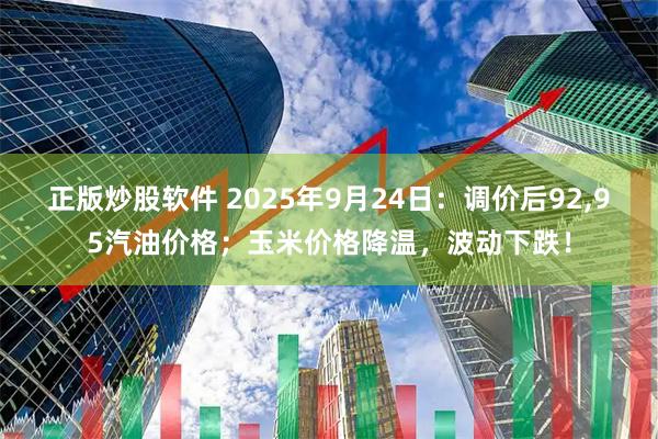 正版炒股软件 2025年9月24日：调价后92,95汽油价格；玉米价格降温，波动下跌！