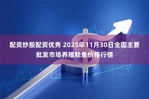 配资炒股配资优秀 2025年11月30日全国主要批发市场养殖鲶鱼价格行情