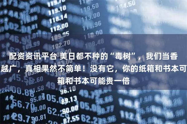 配资资讯平台 美日都不种的“毒树”，我们当香饽饽越种越广，真相果然不简单！没有它，你的纸箱和书本可能贵一倍